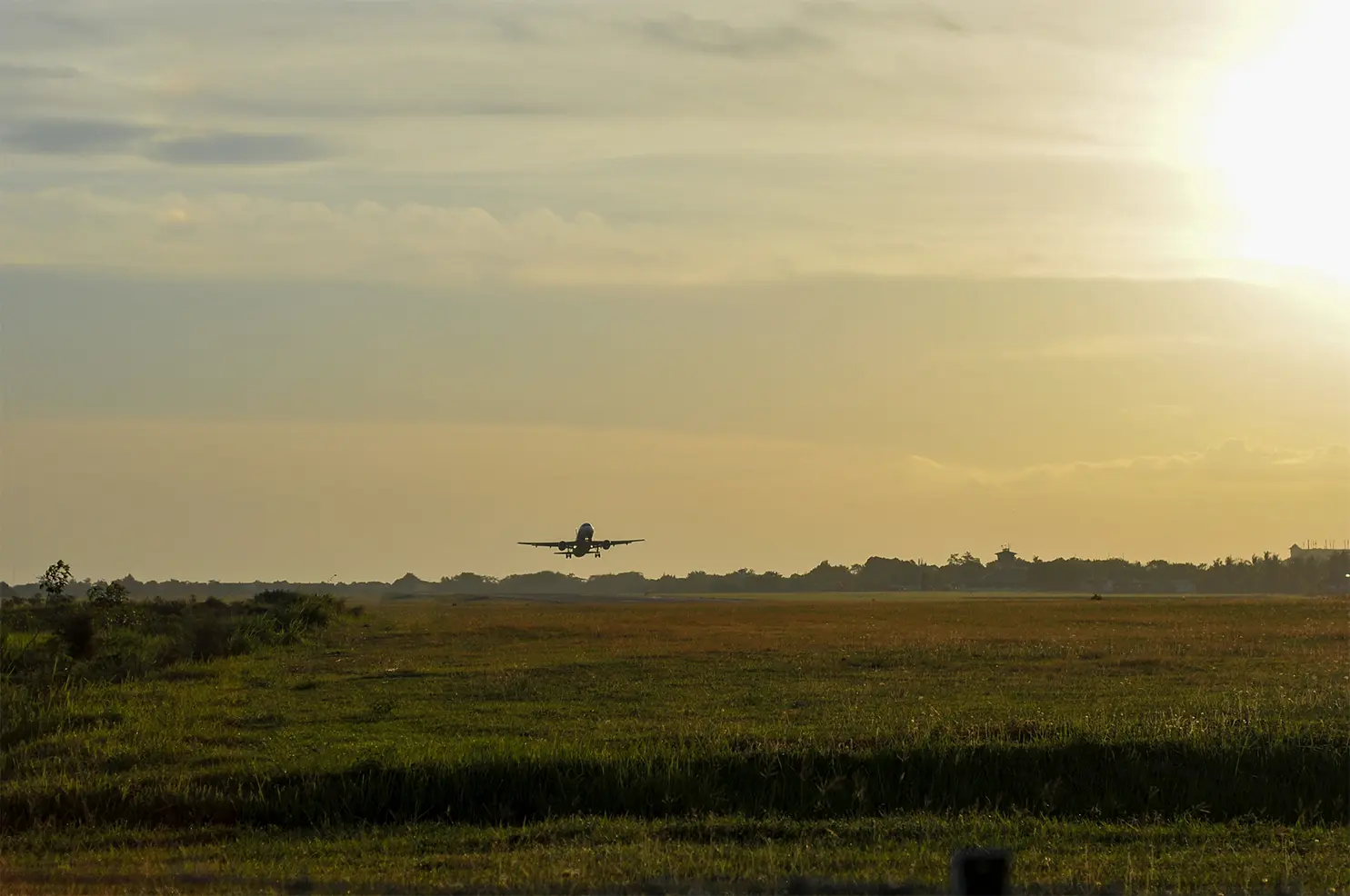 plane over grassland